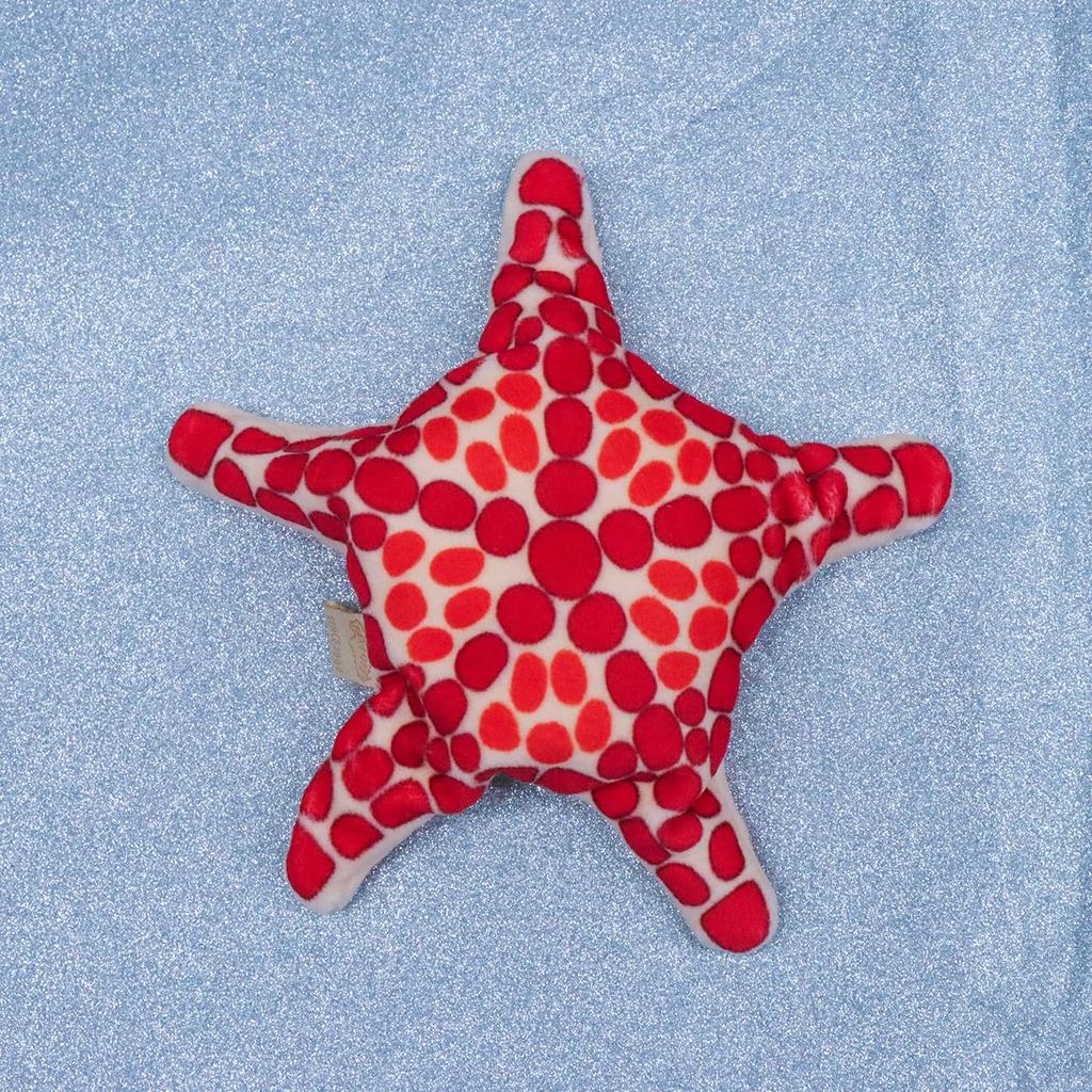 Take Off Mysterious Touch Pokepuni Cherry Brick Biscuit Star