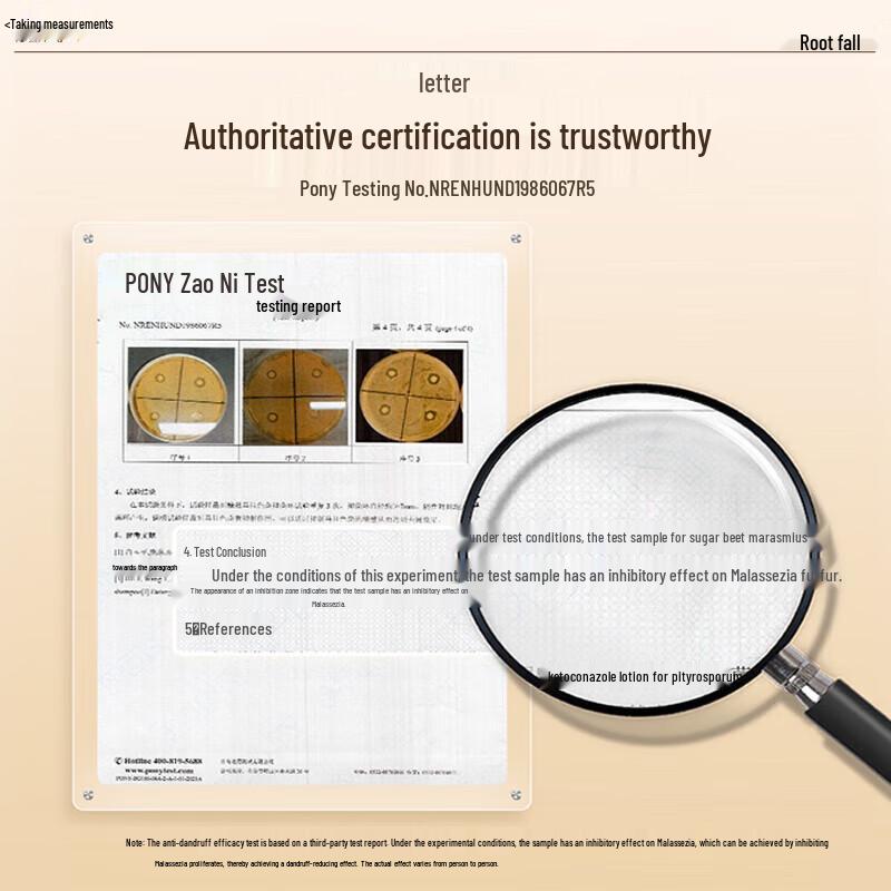 Dieyin Japanese Anti-Dandruff & Anti-Itch Shampoo