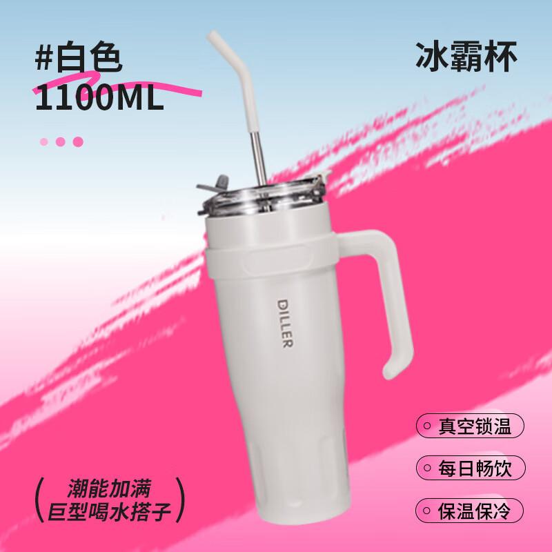 Diller Insulated Tumbler with Straw