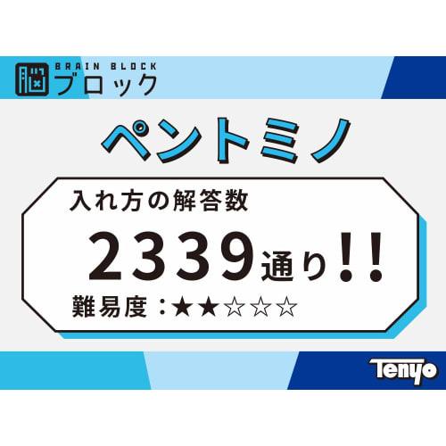 Tenyo Pentomino Brain Block Puzzle That Can Be Played Forever Difficulty Level 2 LEVEL 2 For Beginners To Intermediates Total 2339 Ways Brain Stretch