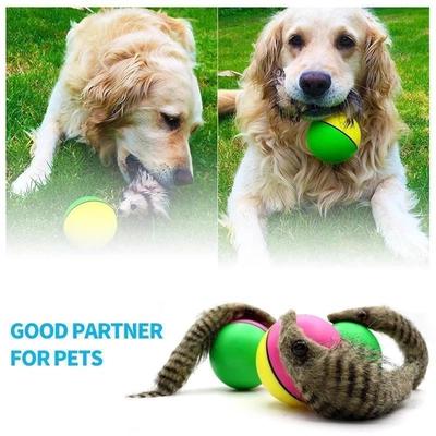 Jouets Mignons pour Chien Jouet Interactif pour Chien de Compagnie Balle Jouet avec Petite Clochette Chiens