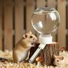 Automatic Hamsters Water Bottle Hanging Water Dispenser Bead Head Watering Bottle Drinking Supply for Pig Parrot Guinea Feeder