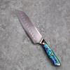 6.9 Inch Santoku Knife Abalone Shell Handle 67-layers Damascus Steel Blade Chef Cleaver Meat Slicing Vegetables Kitchen Knives