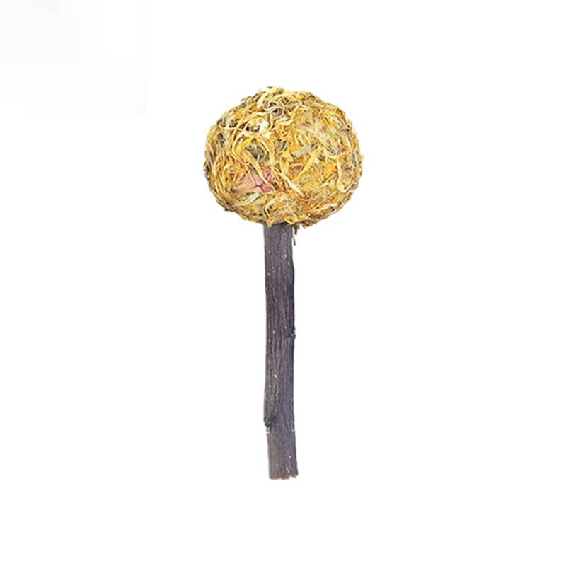 Królik Molar Lollipop Grass Ball Naturalne ręcznie robione artykuły dla zwierząt domowych dla chomików świnki morskiej szynszyli