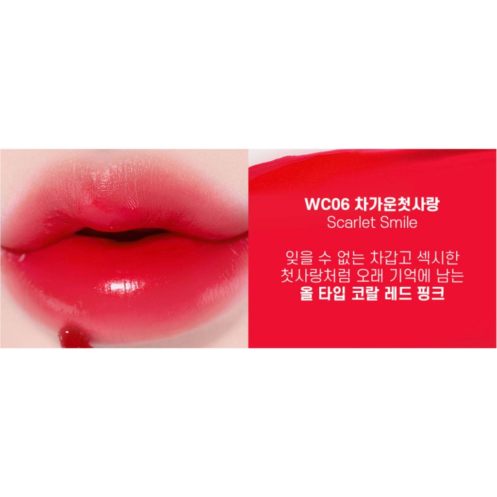 MOOLDA Tatoo Fixing Lip Water Tint 3g