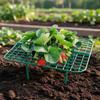 Înverzire şi amenajare – Susținere plante