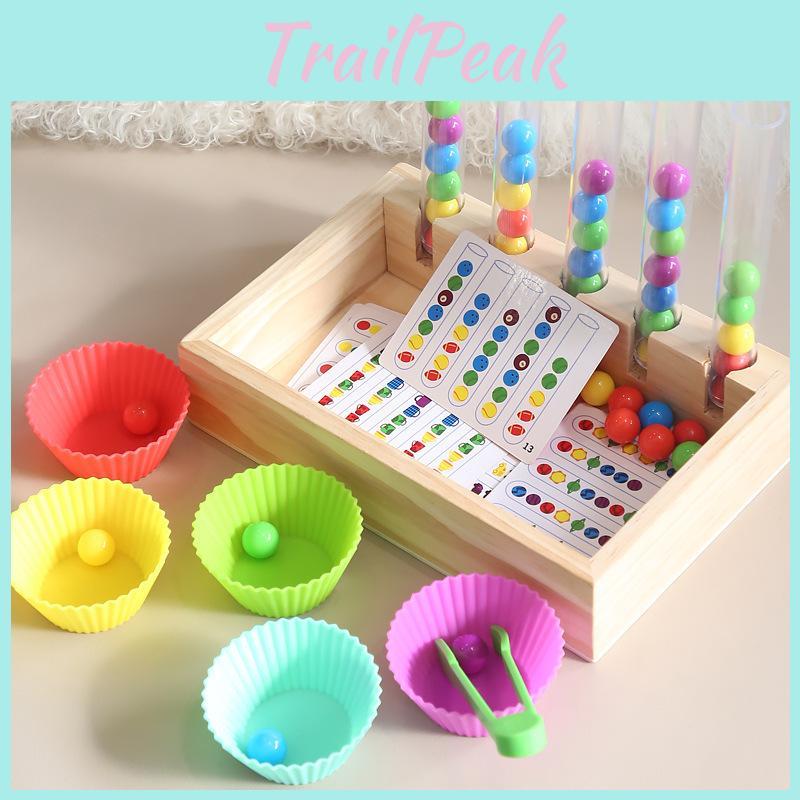 Educational Bead Wooden Clipper Toy Toddlers Fine Motor Color Development Skills