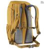 Рюкзак Deuter Walker 24 chestnut/umbra (3812921-6616)