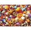 Puzzle - EDUCA - Collage de Coquillages - 1000 pieces - 68x48 cm - a partir de 12 ans
