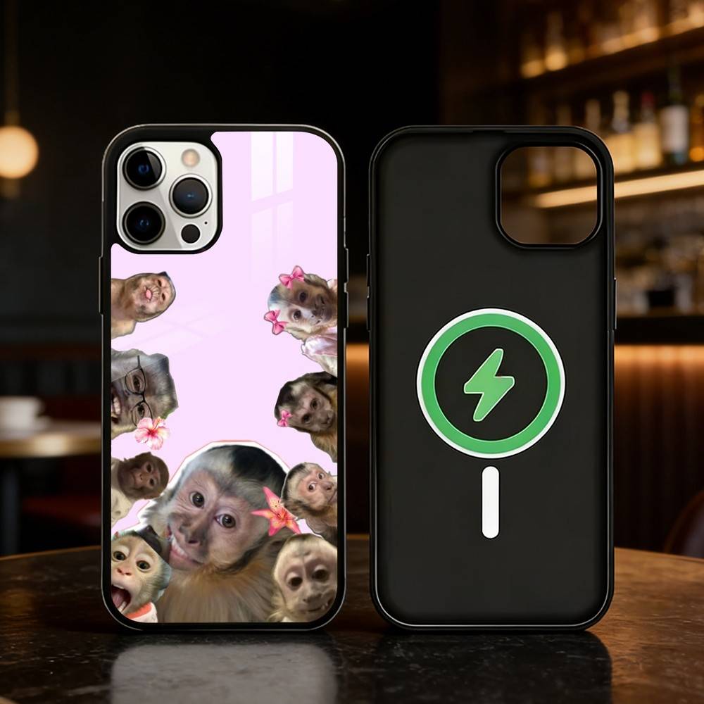 Monkey Abstract Funny Phone Case For iPhone 17/16/15/14/13/12/Plus/Pro/Max for Magnetic Wireless Charging