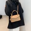 Trendy Pu Leather Shoulder Bag Fashionable 2024 Spring Women Crossbody Bag