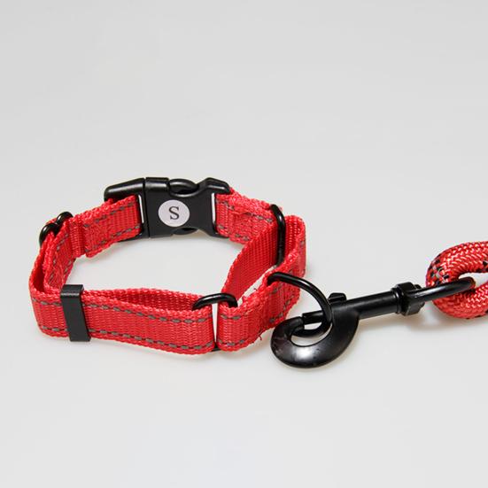 leather dog collar kit