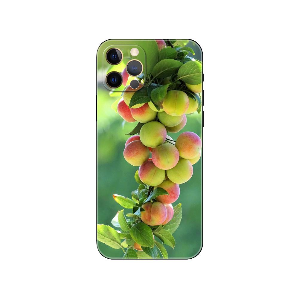 Green Fruit Cherry Lemon Phone Case for Iphone 5 5s 2020se 6 6s 7 8 Plus X 10 XR XS 11 12 13 Mini Pro MAX Black Tpu Back Cover