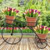 3-Tier Bicycle Plant Stand Iron Tricycle Flower Pot Holder Home Garden Patio Decor