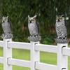 Lifelike Owl Scarecrow For Garden And Balcony Drive Away Birds And Mice Owl Bait Scares Away Birds