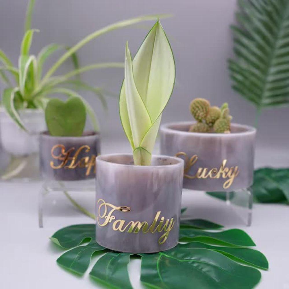 Succulent Flower Pot UV Resin Concrete Cement Silicone Mold Home Decor Clay Molds Casting Mould