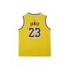 Nike Tank Top LeBron James Icon Edition 2023/24 Season, Los Angeles Lakers Amarillo Yellow Children Aged 3 7 Years Old HF7716-728