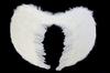 ANGEL Wings 60x45cm SK7976
