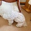 Autumn and Winter Pet Floral Jumpsuit Cute Pumpkin Pants Little Dog Teddy Bear Winter Outfit with Floral Four Legs Puppy Clothes