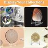 30 Stück Acryl-Münzdisplay-Ständer Transparenter Dreieckiger Halter für Visitenkarten, Fotos, Kleine Teller, Muscheln für den Haushalt