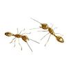 Ant Ornament Polished Alloy Golden Ant Sculpture Vintage Style Ant Statue for Home Office Garden Decoration