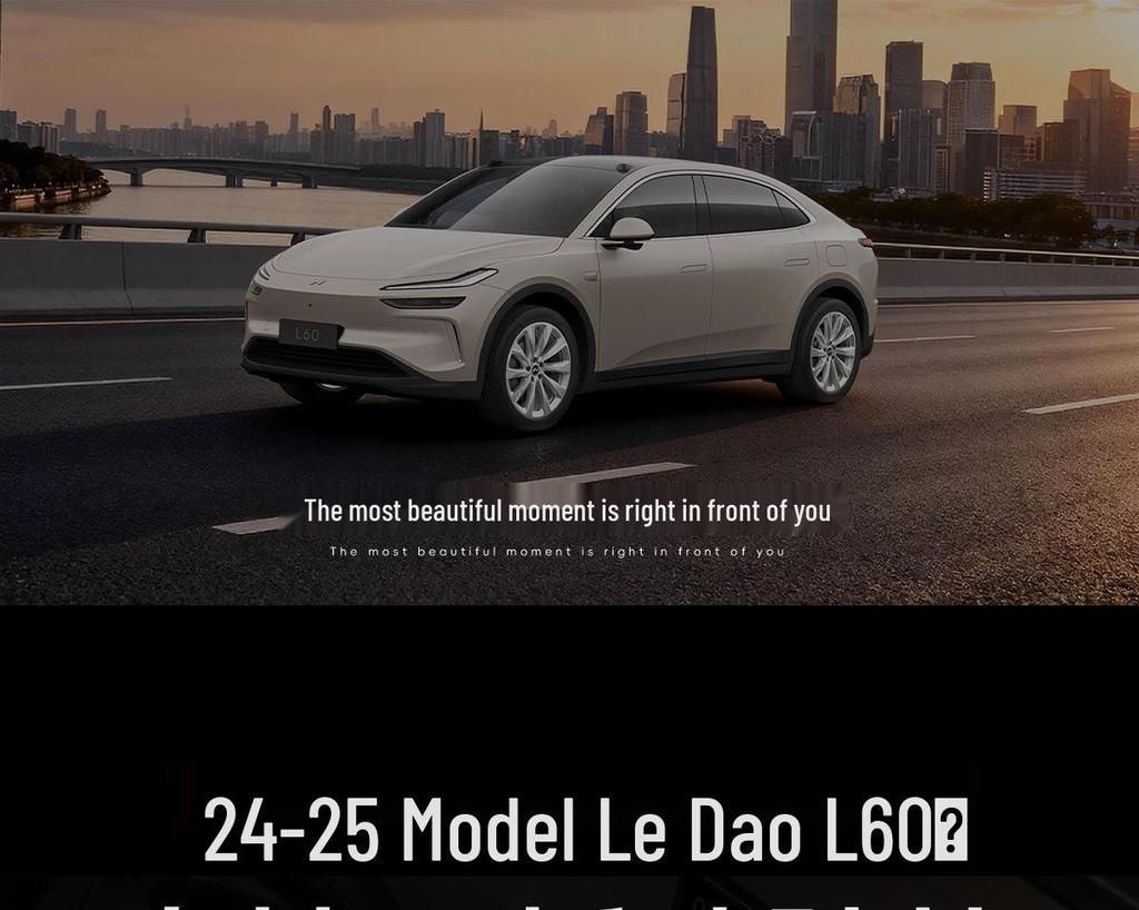 Compatible 2024-2025 LeDao L60 Car Upper Silicone Storage Organizer