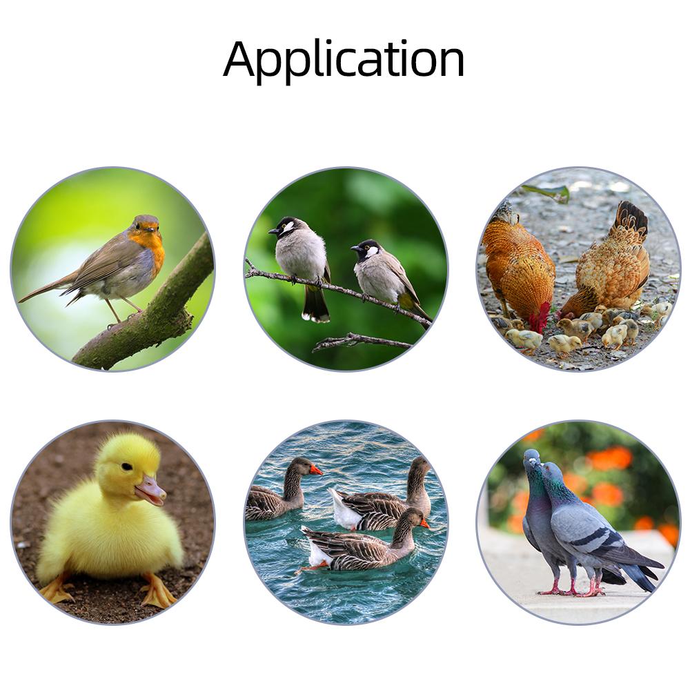 Mini Smart Thermostat 12V/220V Automatic Incubator Control Temperature & Humidity Controller for Farm Chickens Ducks Geese