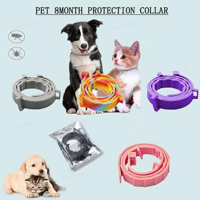 New Releases 39/63CM Cat Dog Collar, Pet 8Month Protection, Automatically Adjusted Collar For Puppy Kitten Large Dog Accessories