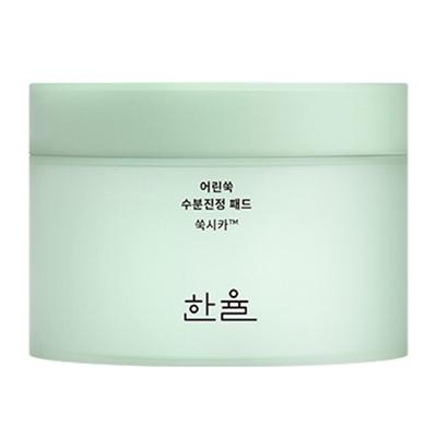 Hanyul Artemisia Moisture Soothing Pad 170ml, 1 Piece, 1 Piece