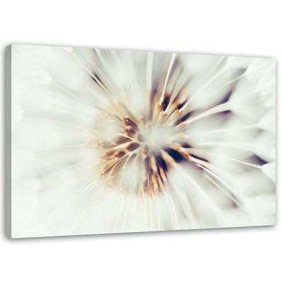 Canvas Print Dandelion Macro Dandelion Nature