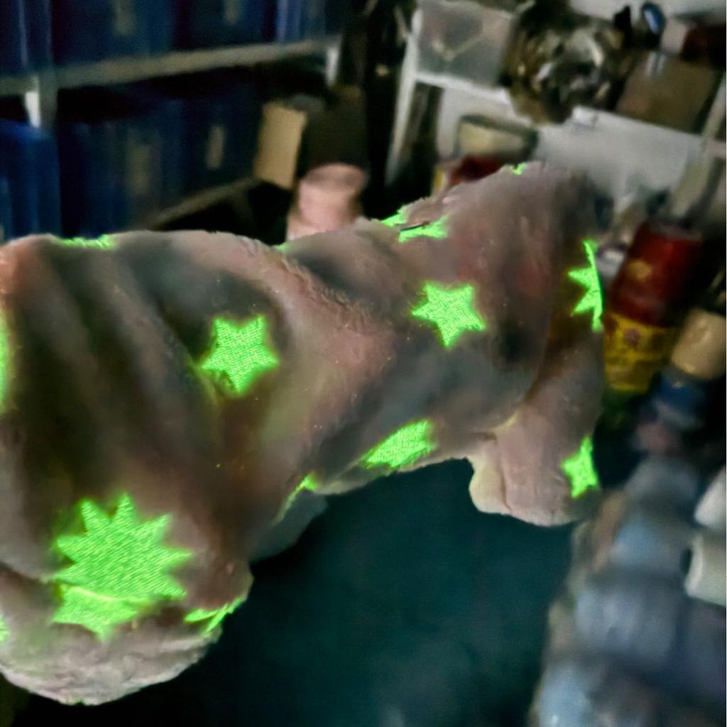 Dog Plush Jumpsuit Pet Plush Four Legged Coat Small Dog Cat Autumn Winter Warm Night Light Four Leg Plush Coat Puppy Clothes