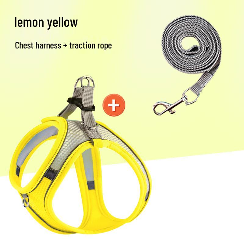 Outdoor Anti-Escape Vest-Style Harness for Cats and Dogs