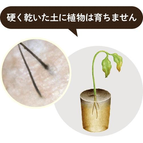 Ishizawa Medicated Natural Scalp Essence for Hair Growth 180mL