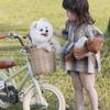 Retro Pastoral Rattan Bicycle & Scooter Basket for Kids