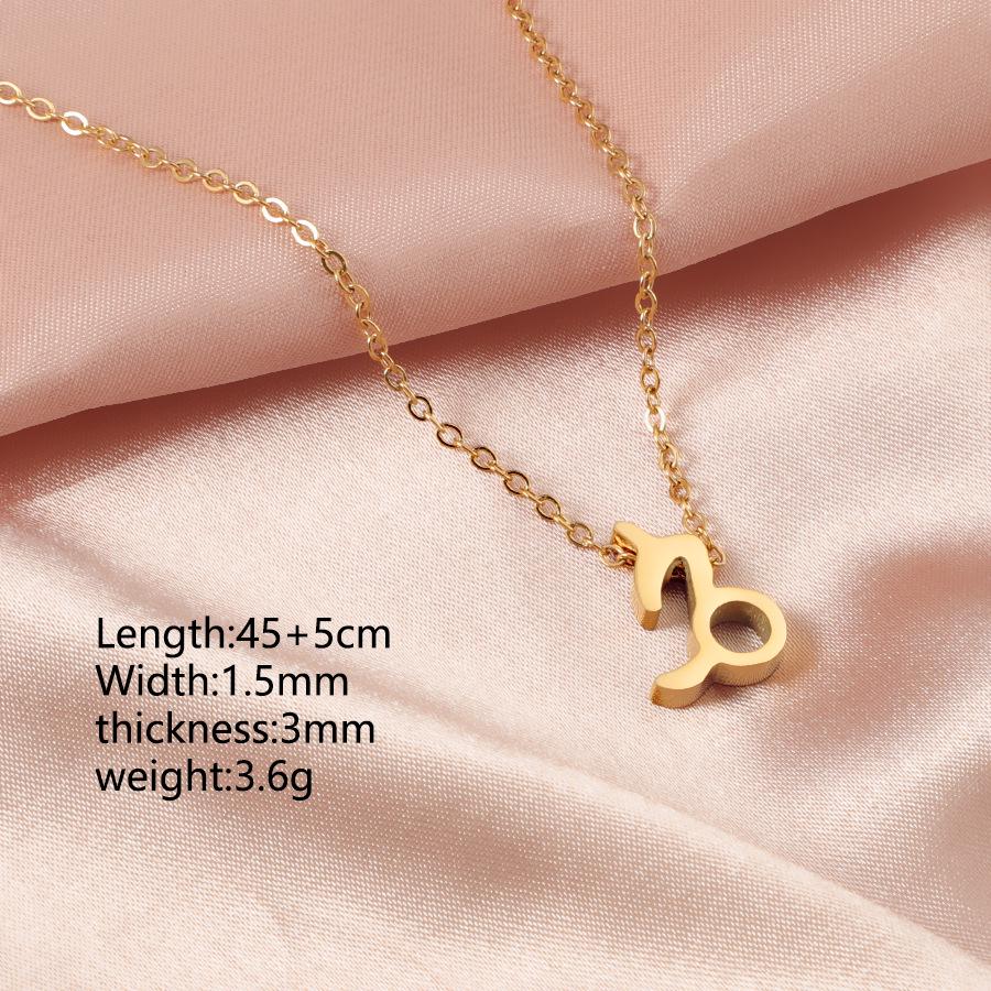 RUMNVNTY Ожерелье-ключица «Созвездия Зодиака» - 12 дизайнов созвездий, стильный кулон-карточка Steel