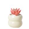 Table Top Decoration Home Decor Luxury Ornaments Home Decorative