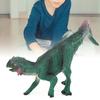 Simulation Dinosaur Model Children Dinosaur Toy Educational Toy Home DecorationM?142 Psittacosaurus