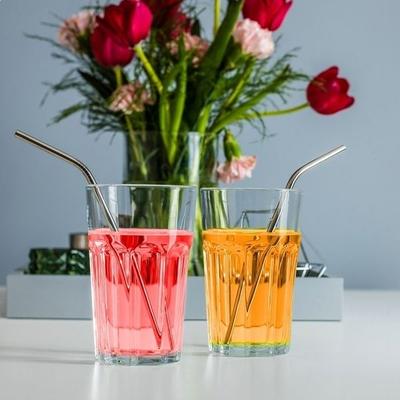 Herbruikbare metalen rietjes met schoonmaakborstel (2 rietjes