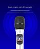 YY801 High Power Handheld Wireless Microphone Set for Home KTV & Outdoor Performance