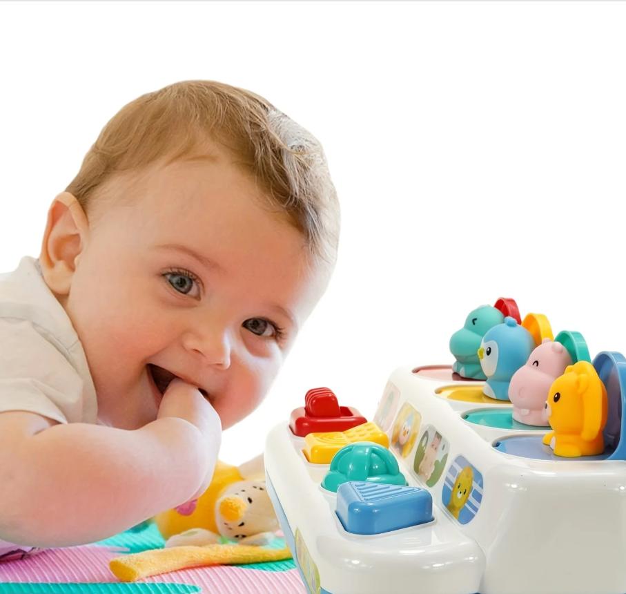 Montessori Pop up Animal Toys and Learning Boxes - Enhance Logic and MotorSkills.Suitable for Children's Birthday Gifts