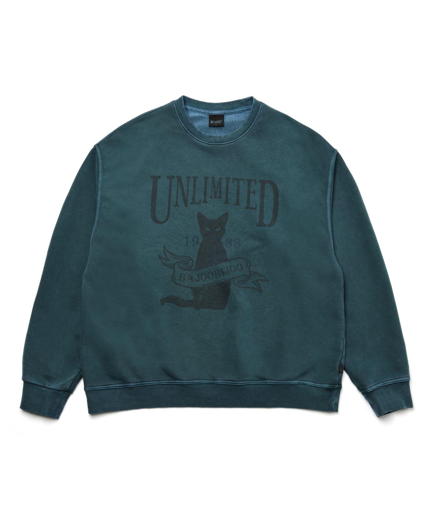 Свитшот Bajubiju Unlimited Cat Pigment [Сине-зеленый] L