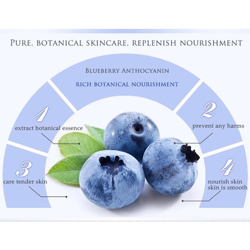 Blueberry Brightening To Fine Line Firming Anti-Wrinkle Moisturizing Dark Circle Eye Bag Eye Cream