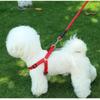 Dog Leash, Pet Leash Large, Medium and Small Dog Leash, Cross-border Pet Products Factory Issued