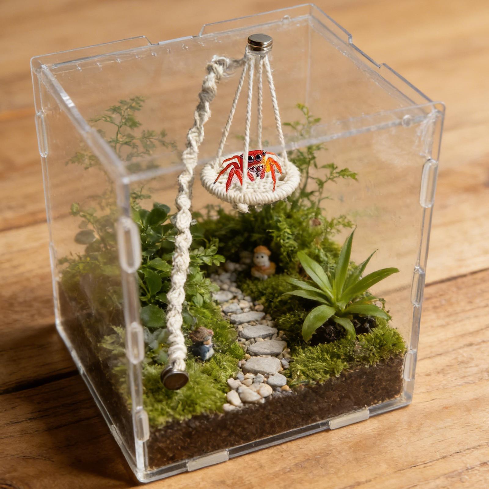 

Spider Enclosure Accessories Hangable Rope Climbing Hammock Jumping Spider Terrarium Decor For Terrarium Breeding Geckos Tree China Mainland
