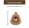Capybara Ugly-Cute Plush Doll and Pillow Set