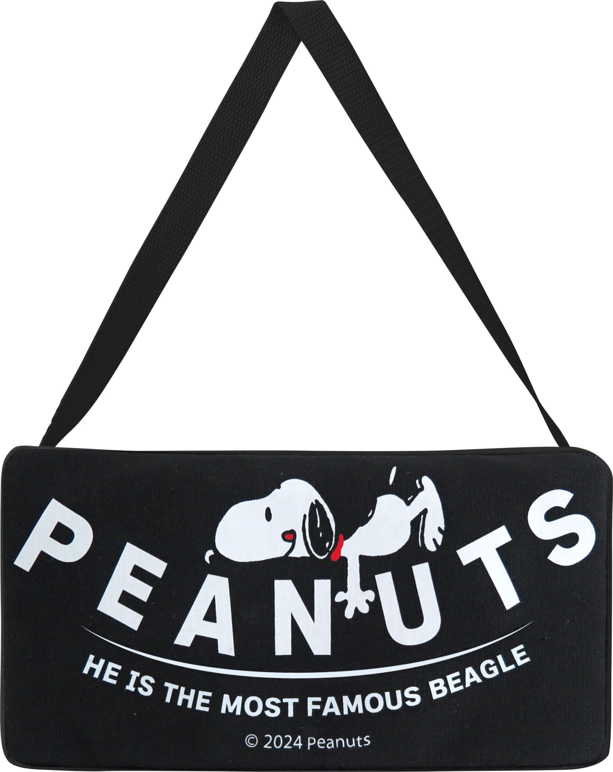 

Sankin Shoji Snoopy Tissue SN3113 Case, Snoopy, Black,