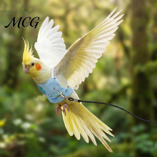 Parrot Outdoor Harness Clothes with Leash, Flight Cute Wings, Anti-breakaway Bird Vest, Training for Parakeet Budgie Cockatiel Non-restrictive Gear