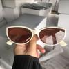 Cat Eye New Oval Sunglasses Personalized Vintage Fashion Trendy Female Girls Shades Popular Brand Designer Eyewear Lentes
