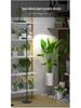 Full Spectrum Indoor Grow Light - Professional Floor Standing LED for Plants, Succulents, and Flowers