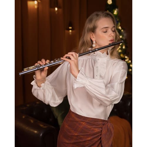 Eastar Flute, 16-Hole, Covered Keys, E Mechanism, Offset, Nickel-Plated, with Stand and Case, Beginner's Set (Silver), Perfect for School Openings